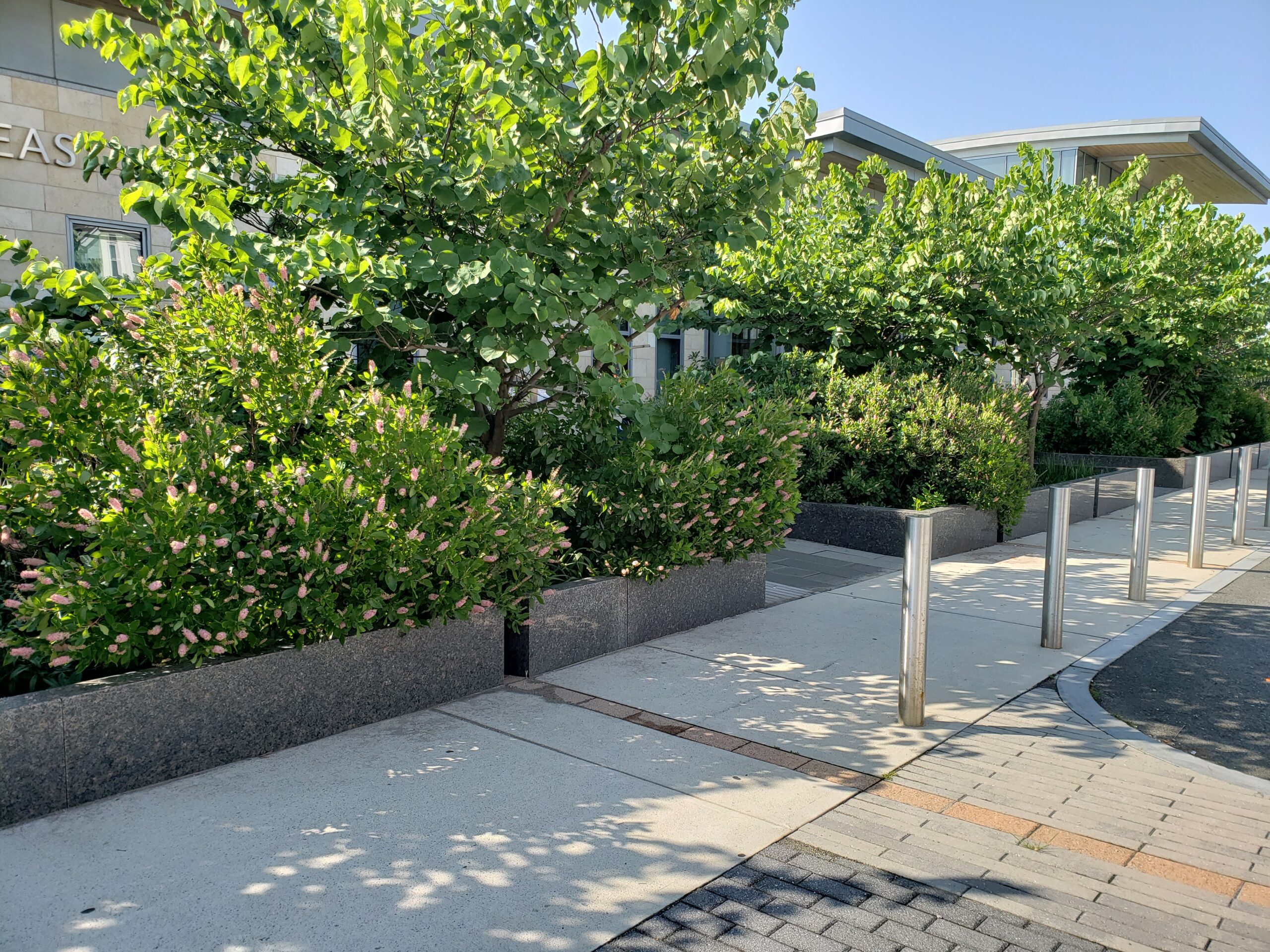 Featured image for “Boston Appoints NGICP Certificant as First Director of Green Infrastructure”