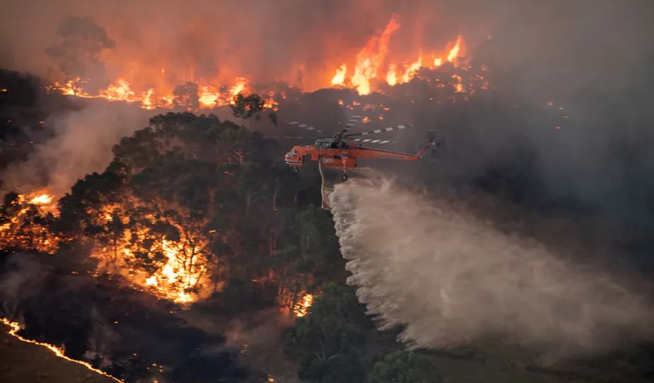 Featured image for “Australian Bushfires – How You Can Help”